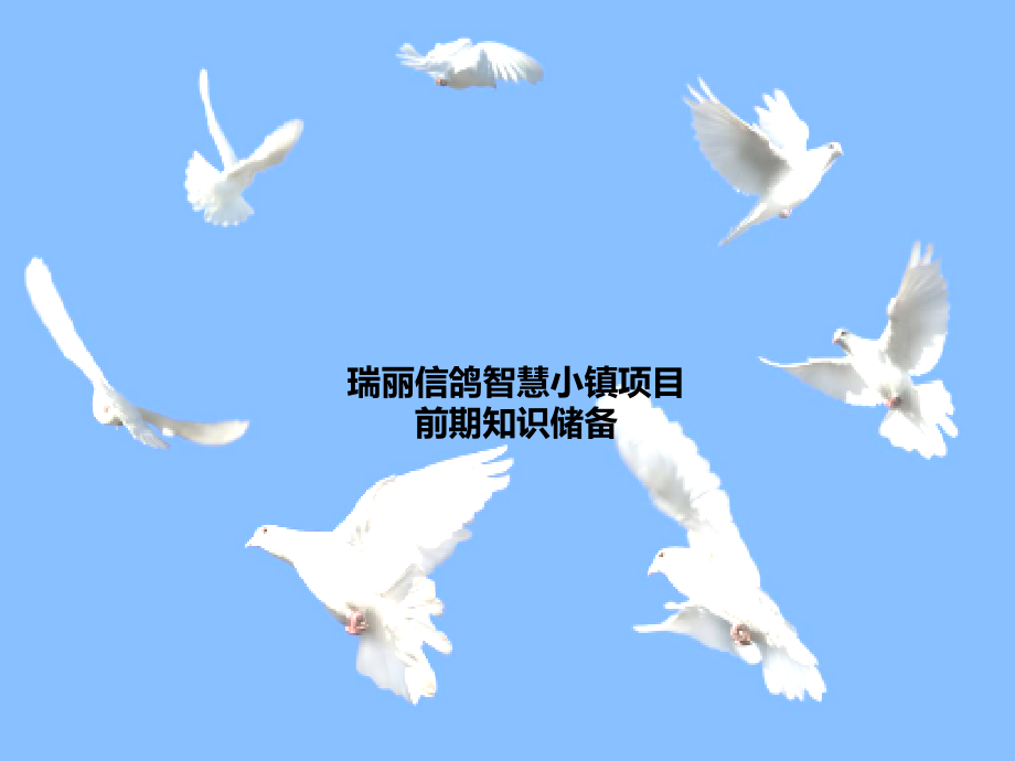 赛鸽特色文化小镇前期知识储备PPT课件.ppt_第1页