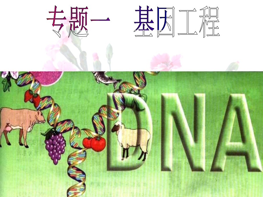 人教选修三DNA的重组技术基本工程的工具ppt课件.ppt_第1页