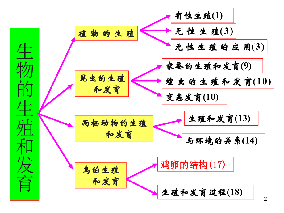 八年级下册生物复习PPT课件.ppt_第2页