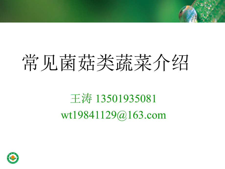 常见菌菇类蔬菜介绍.pptx_第1页