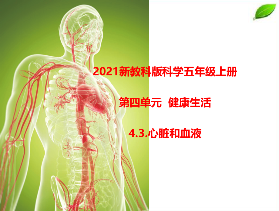 2024年新教科版科学五年级上册4.3.心脏和血液课件.pptx_第1页