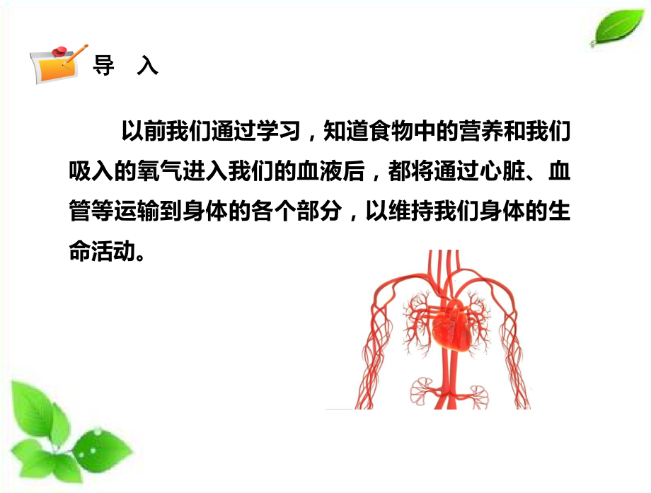 2024年新教科版科学五年级上册4.3.心脏和血液课件.pptx_第2页