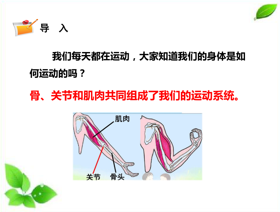 2024年新教科版科学五年级上册4.2.身体的运动课件.pptx_第2页