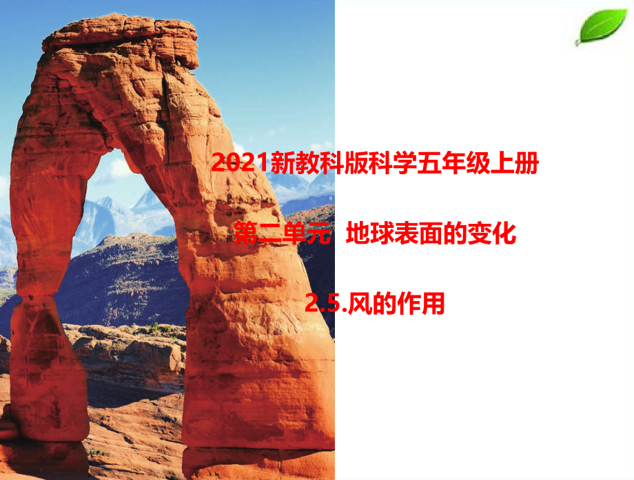 2024年新教科版科学五年级上册2.5.风的作用课件.pptx_第1页