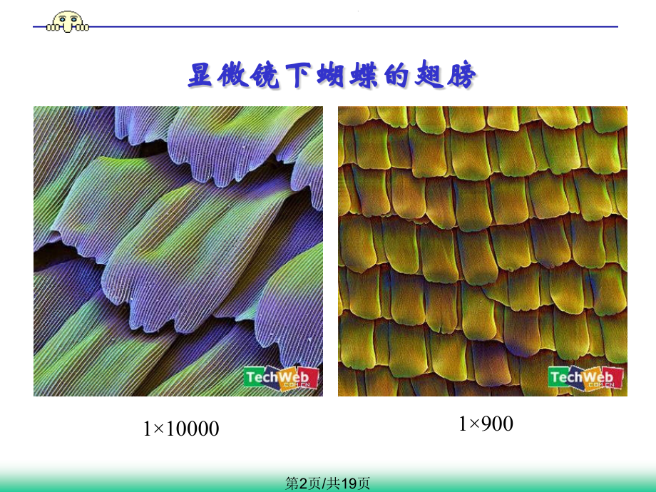 大学物理实验.pptx_第2页