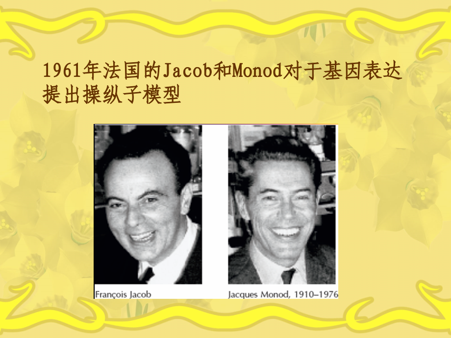 基因表达的调控-(2).ppt_第1页