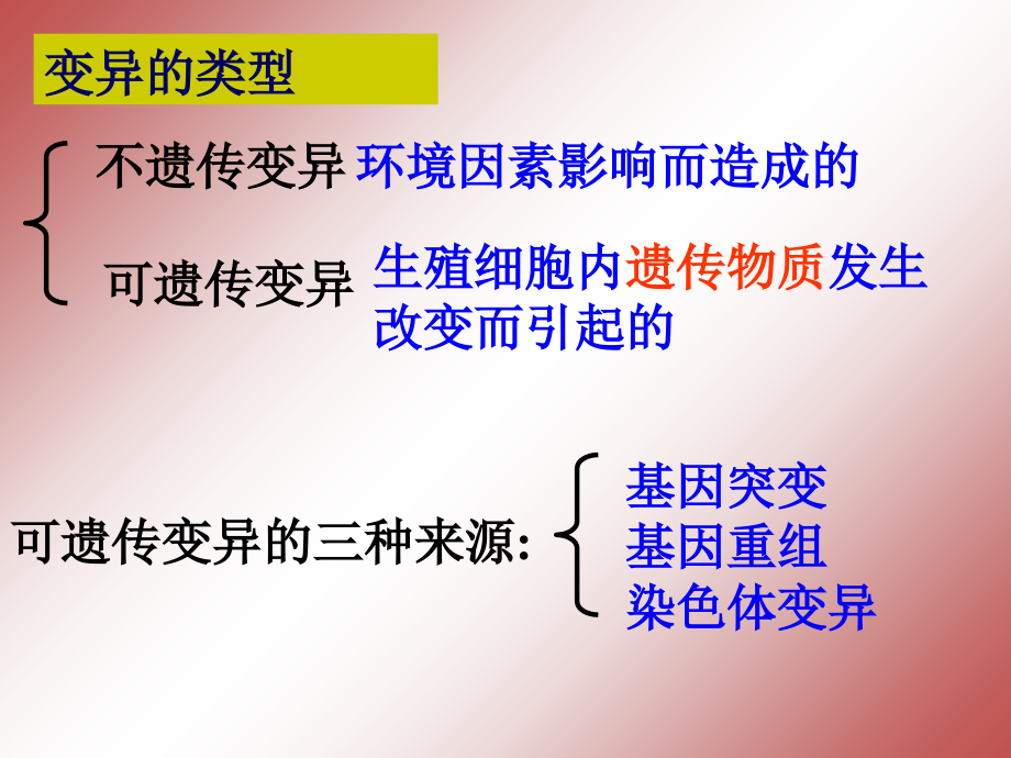 山东省聊城市外国语学校高中生物必修2课件：5.1基因突变和基因重组.ppt_第2页