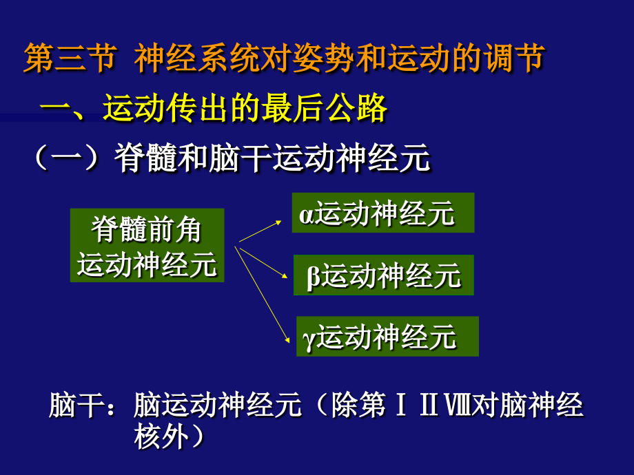 生理学(第7版)-第10章-神经系统功能2课件.ppt_第2页