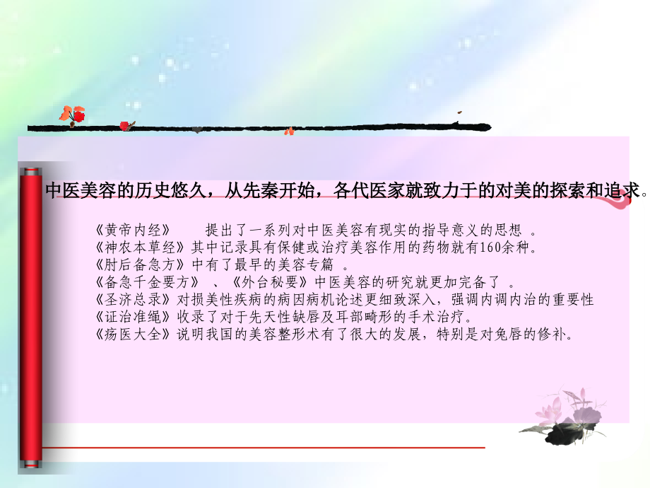 中医美容学.ppt_第2页