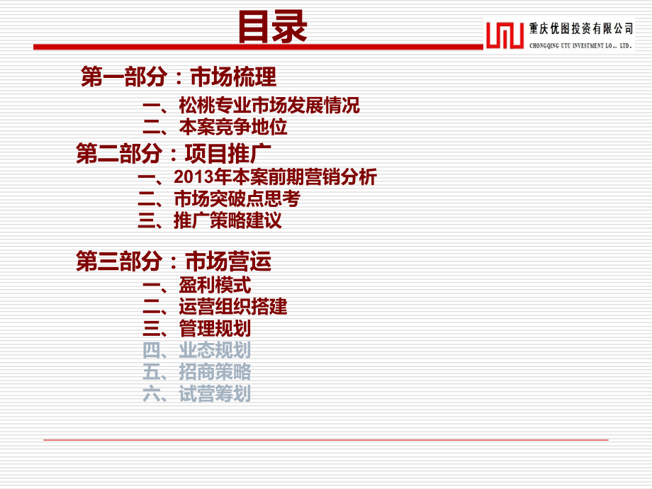 松桃大市场运营推广策略方案.ppt_第2页