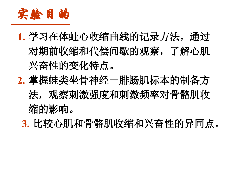 机能—心肌骨骼肌课件.ppt_第2页
