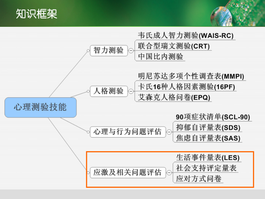 测验技能-4-应激与相关问题-v3.7课件.ppt_第1页