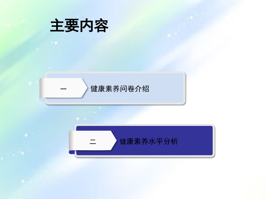 健康素养水平分析.ppt_第2页