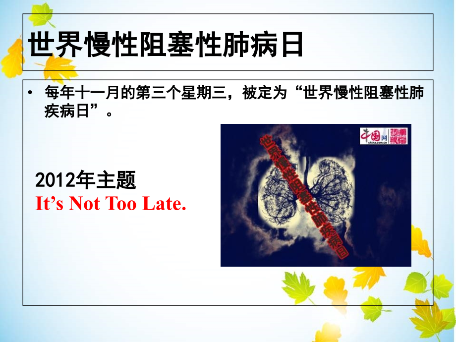 慢性阻塞性肺疾病护理.ppt_第2页