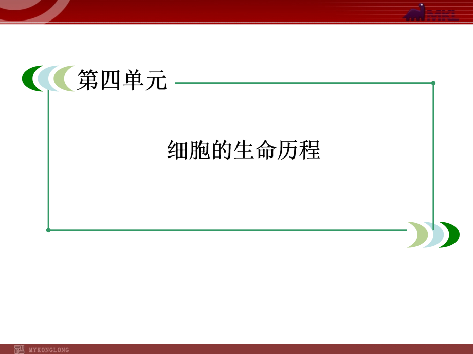 必修1-4-1细胞的增殖课件.ppt_第2页