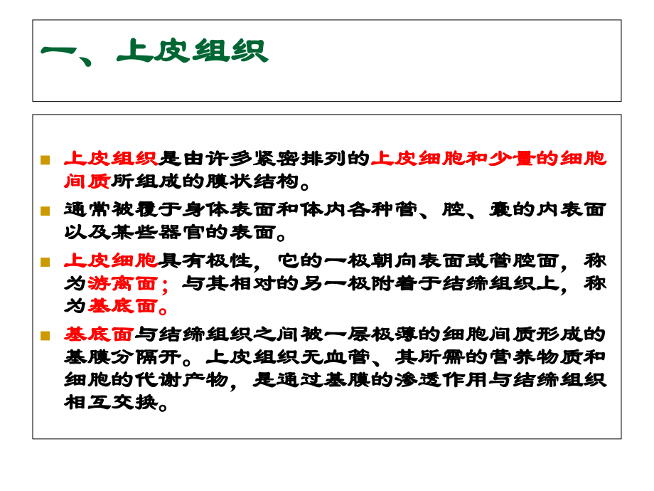 第二节-动物组织课件.ppt_第2页