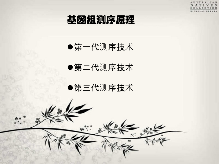 基因组测序原理.ppt_第1页