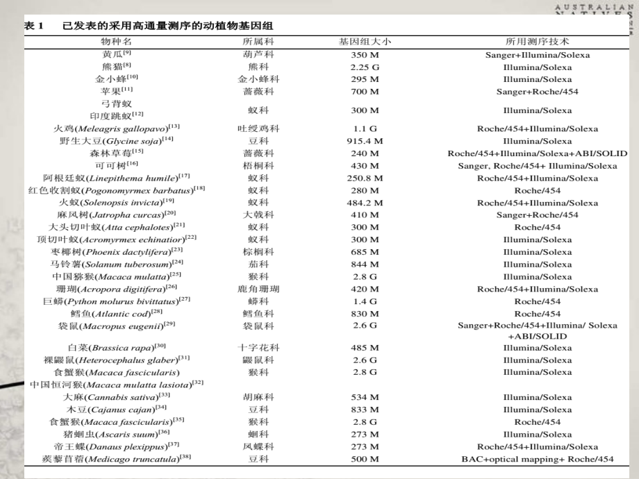 基因组测序原理.ppt_第2页