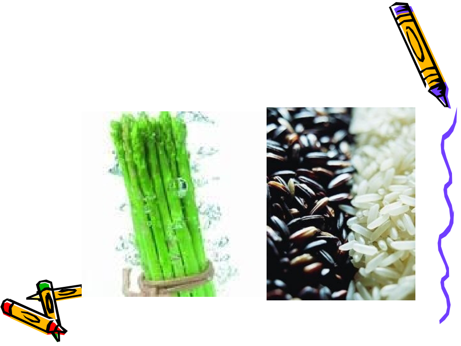 社区预防医学——营养与食品安全课件.ppt_第1页