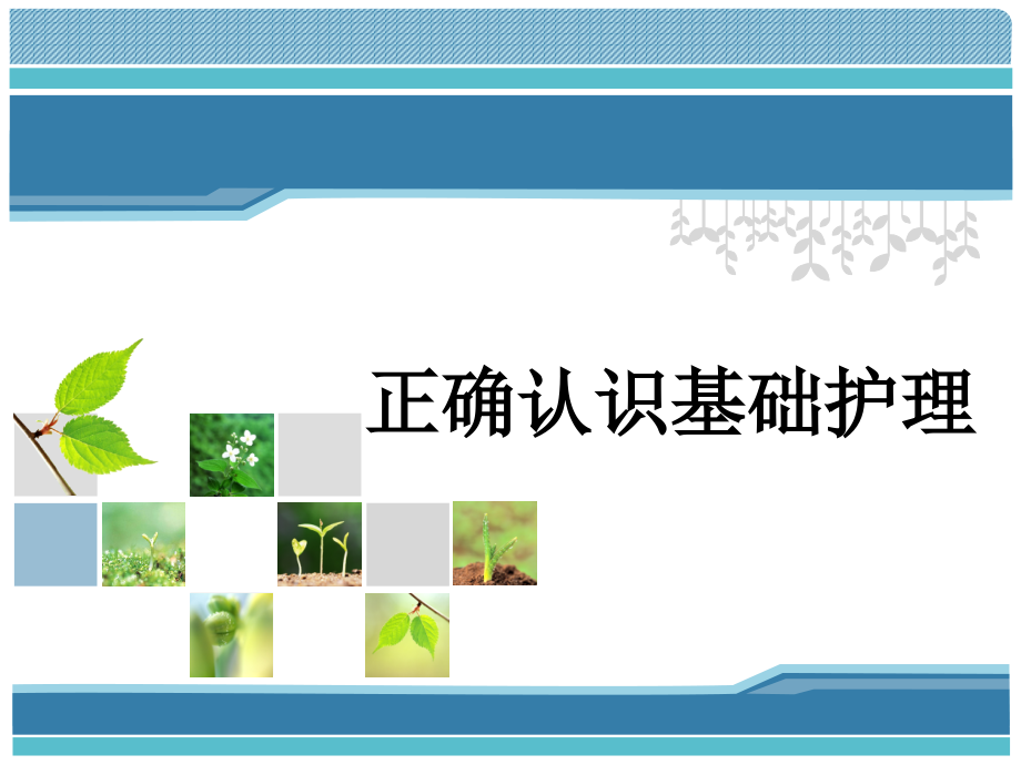 正确认识基础相关护理-【课件】.ppt_第1页