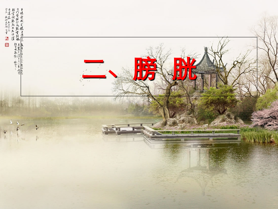 泌尿生殖影像诊断课件.ppt_第2页