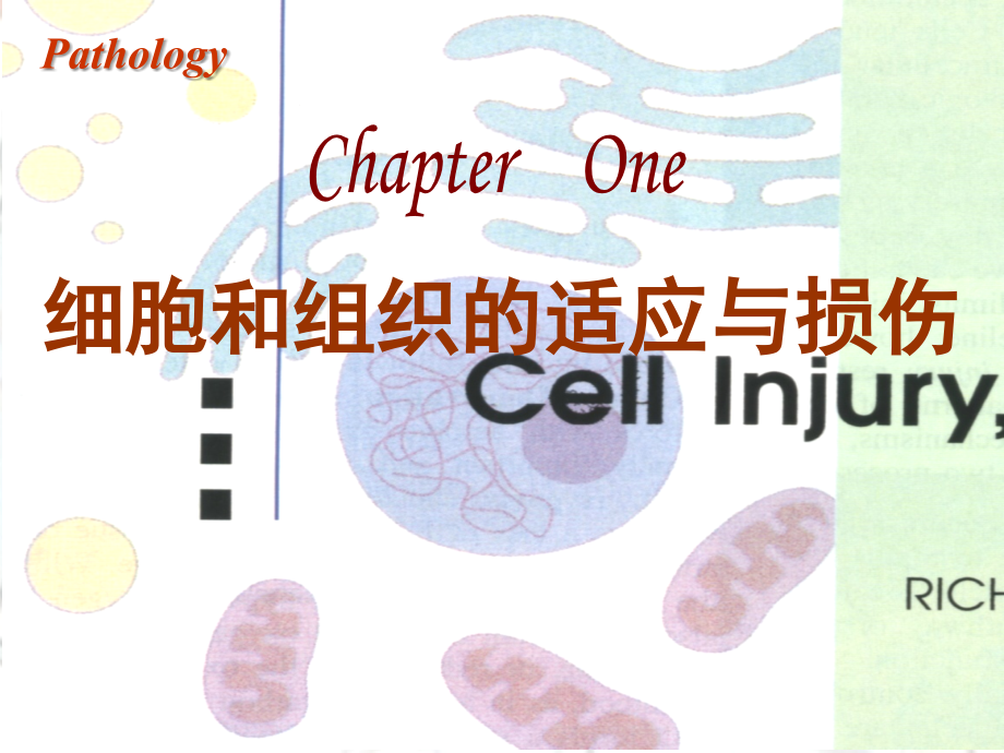 病理学组织的适应和损伤课件.ppt_第1页