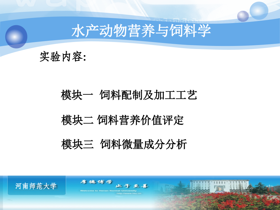 河南师范大学-水产动物营养与饲料学课件.ppt_第2页