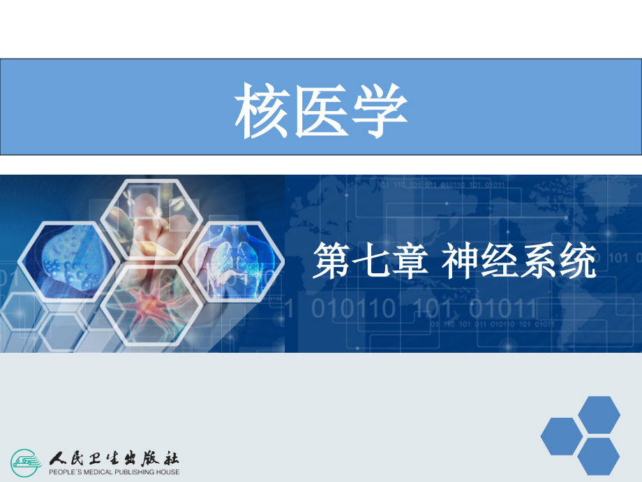 第七章-神经系统课件.ppt_第2页