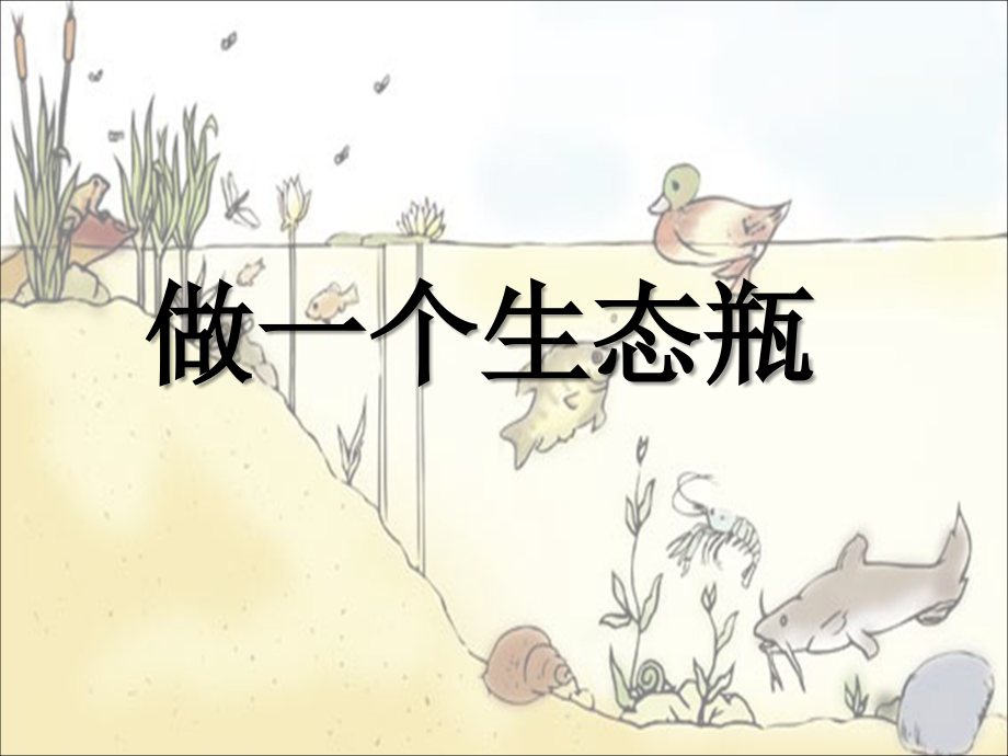 五年级科学做一个生态瓶.ppt_第1页