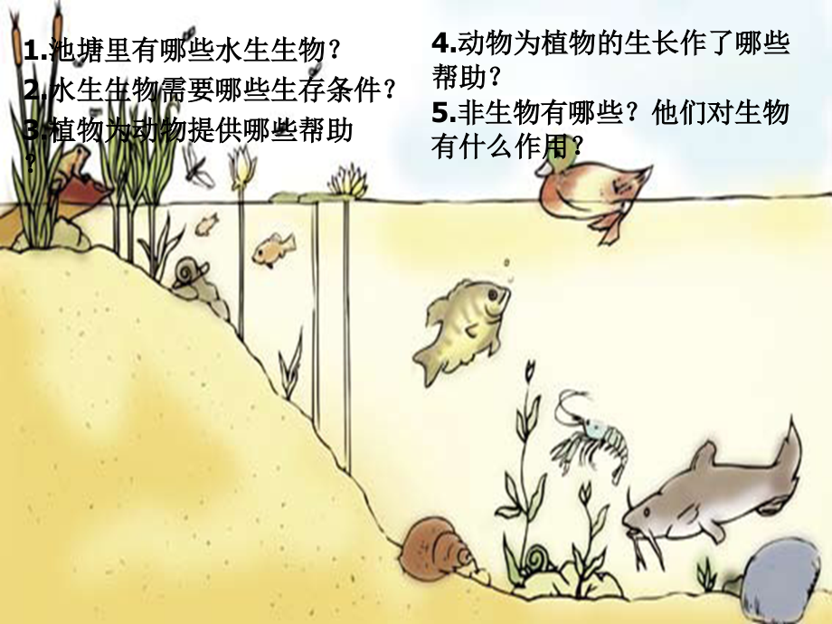 五年级科学做一个生态瓶.ppt_第2页
