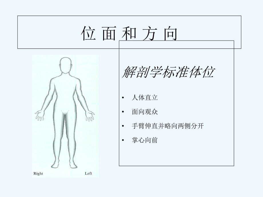 髋关节解剖-和生物力学.ppt_第2页