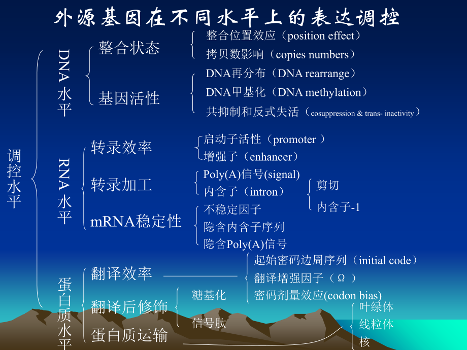 外源基因表达调控1.ppt_第1页