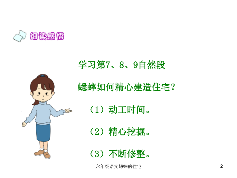 六年级语文蟋蟀的住宅.ppt_第2页