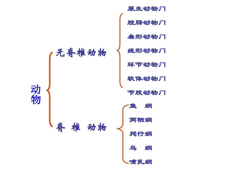水中的生物王涛.ppt_第1页