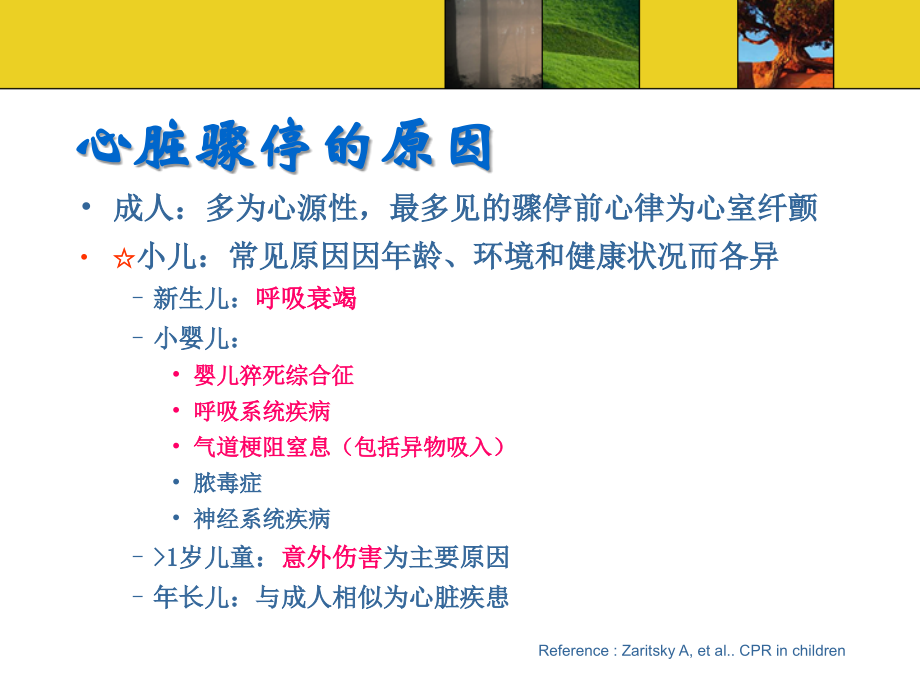 小儿心肺复苏新进展copy版课件.ppt_第2页