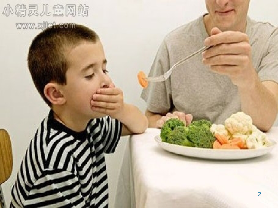 合理饮食.ppt_第2页