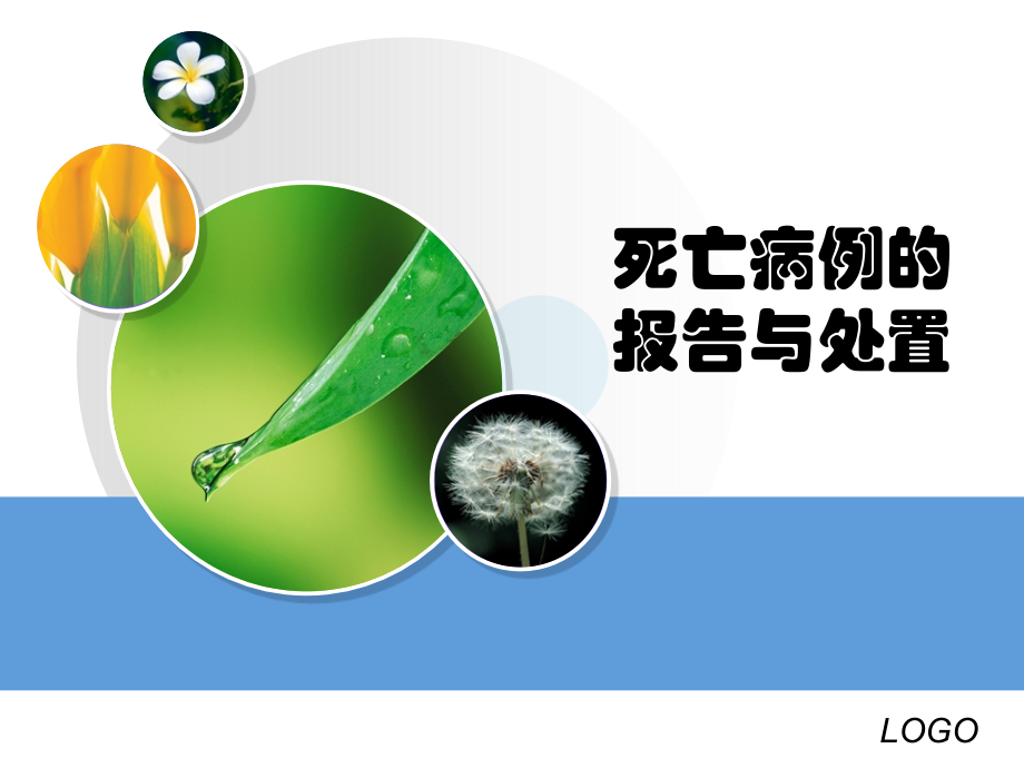 死亡病例的报告与处置课件.ppt_第1页