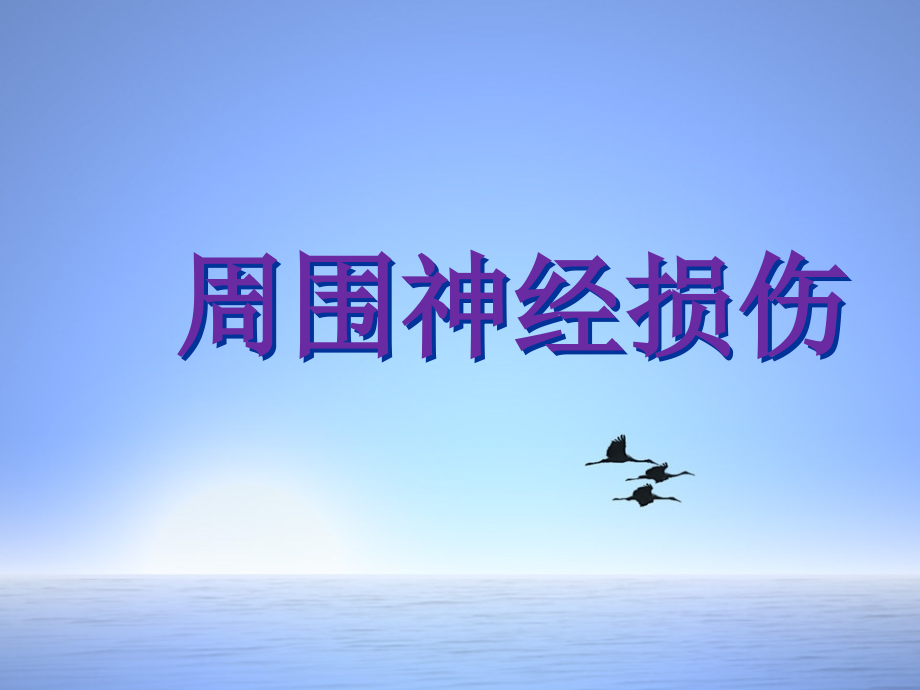 周围神经病损1课件.ppt_第1页
