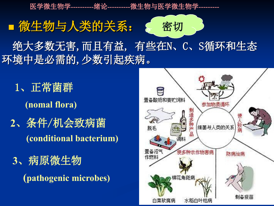 医学微生物--绪论-1-2章.ppt_第1页