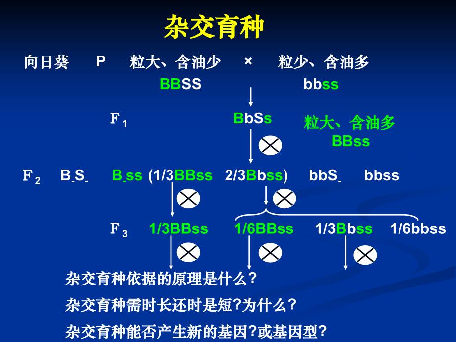 生物变异的应用.ppt_第2页