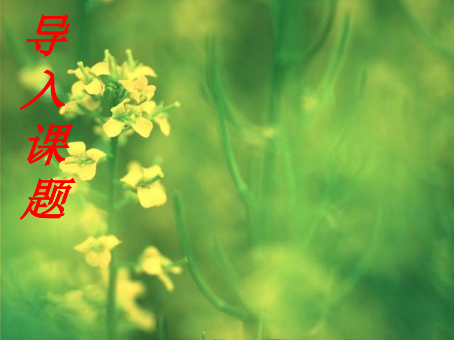 情感写作课件.ppt_第1页