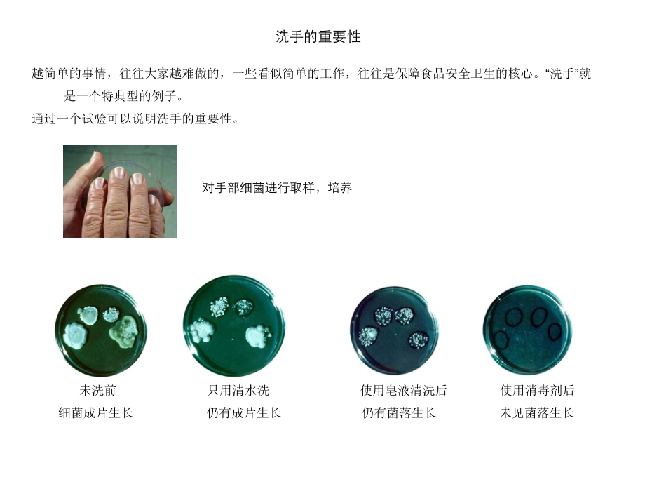 第三节食物中毒及预防(济南)课件.ppt_第2页