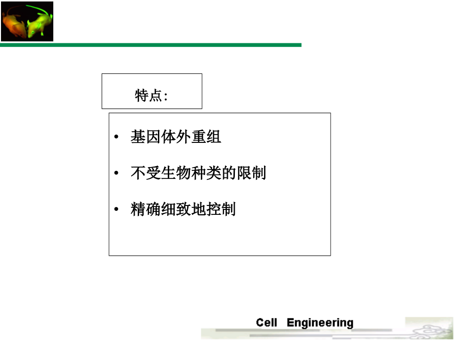 第三章转基因动物技术与药物生产.ppt_第2页