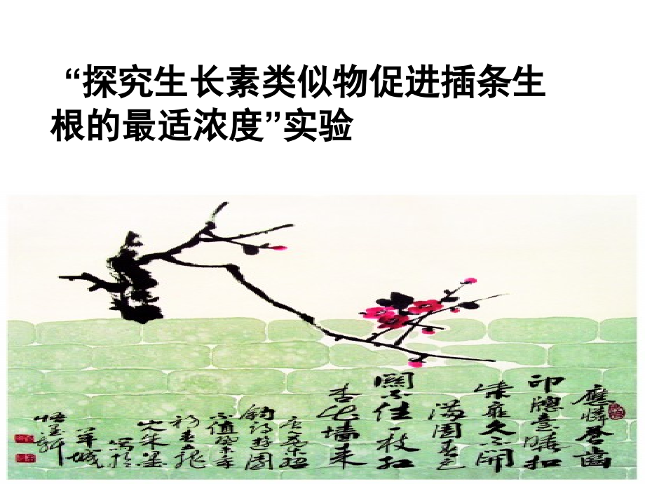 探索生长素类似物促进插条生根的最适浓度课件.ppt_第1页