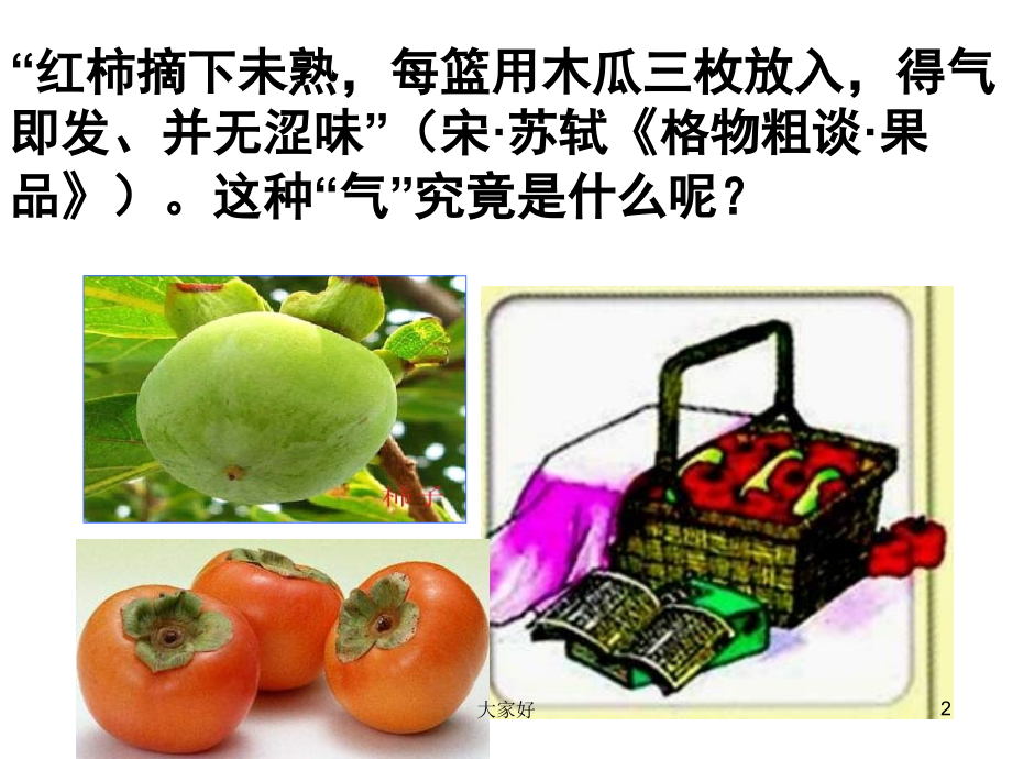 其他植物激素的作用.ppt_第2页