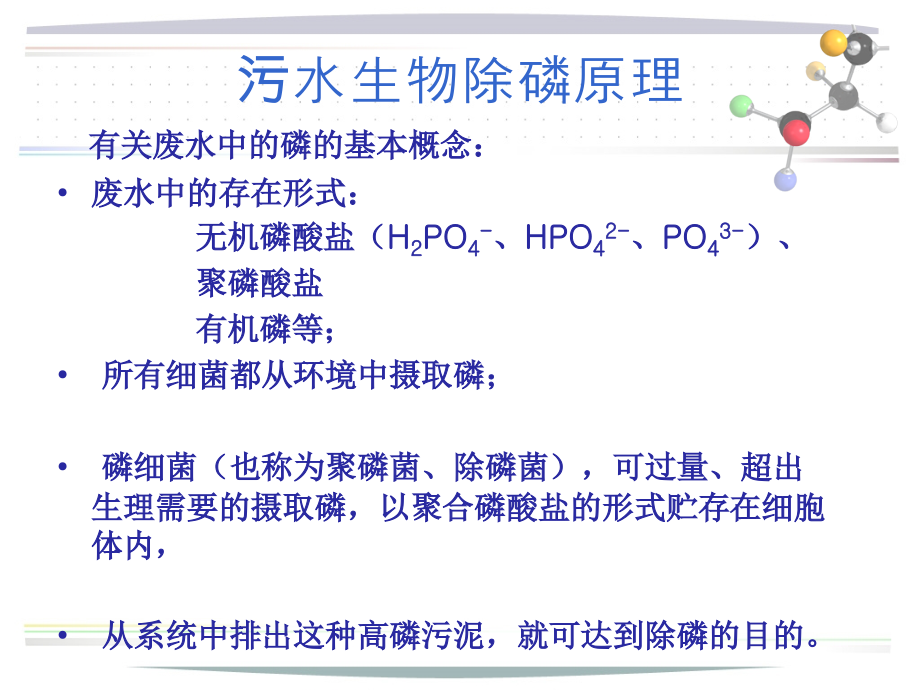 污水除磷技术-.ppt_第2页