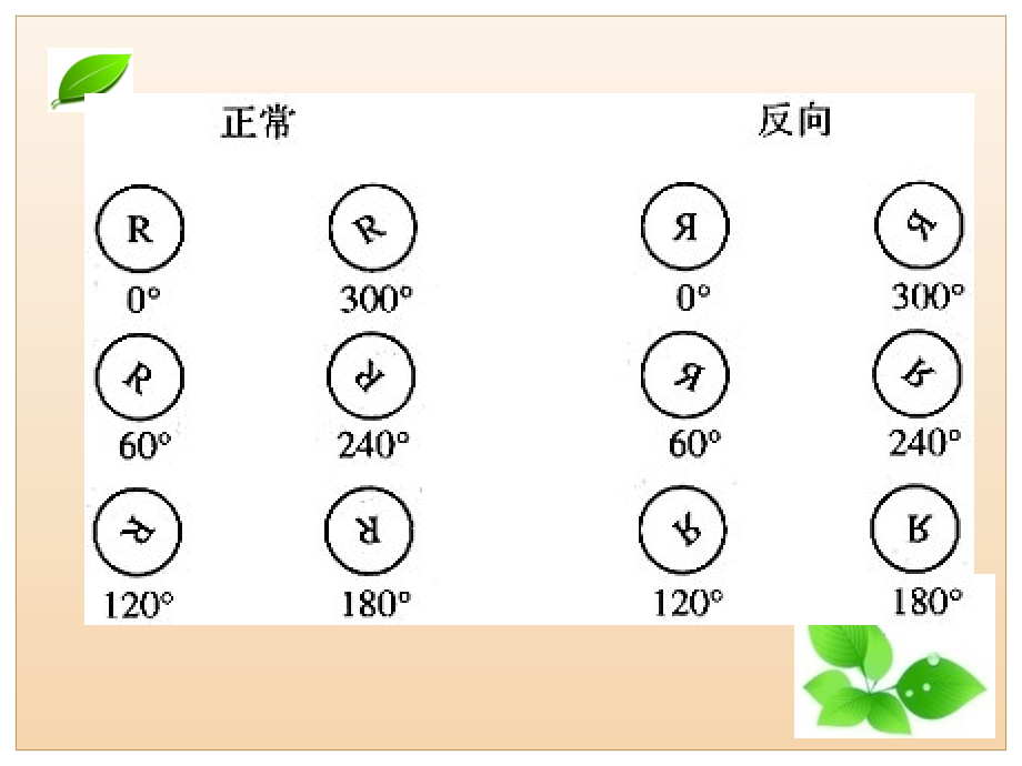 演示文稿9--想象与表象课件.ppt_第2页
