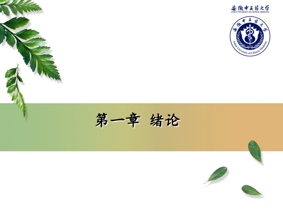 社区卫生服务概述-杨洁(第一、第二章)课件.ppt_第2页