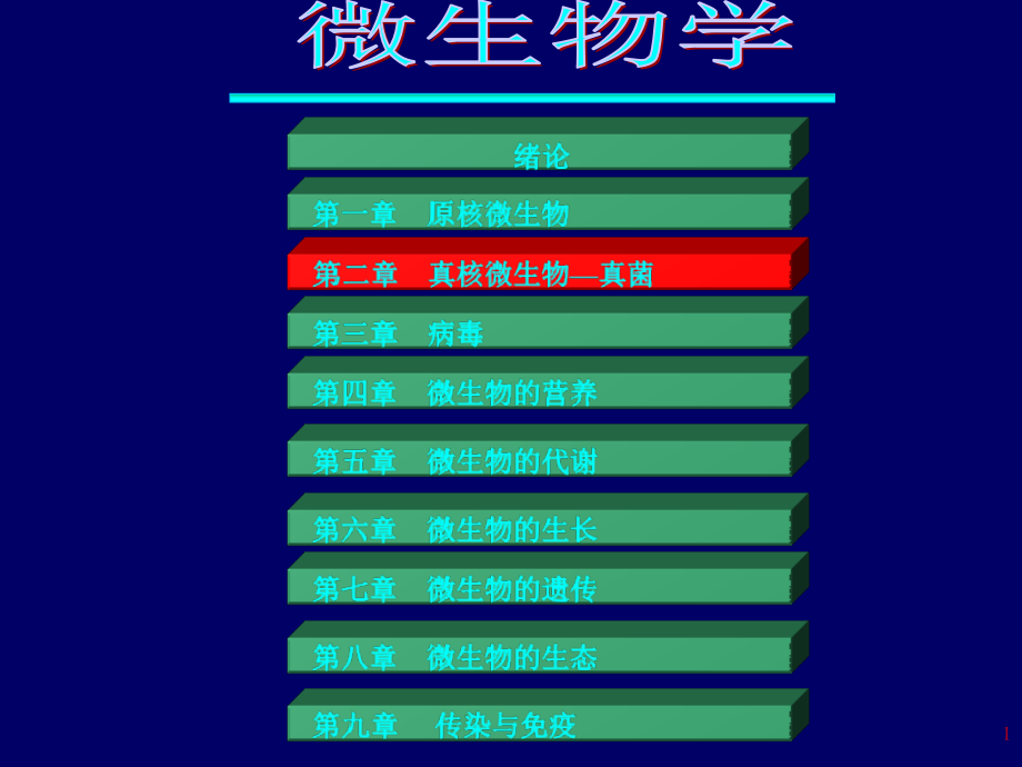 真核微生物—真菌--xue.ppt_第1页