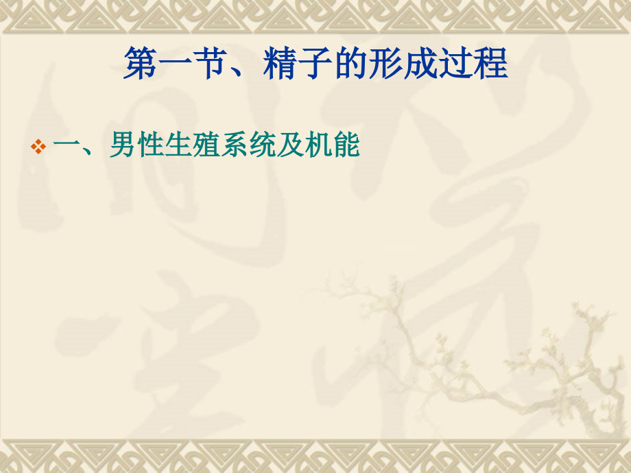 第二章---受孕、避孕与绝育课件.ppt_第2页